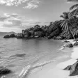 Tropical beach