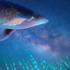 wavespeed-ai/flashvsr
