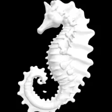 wavespeed-ai/hunyuan3d/v2-mini