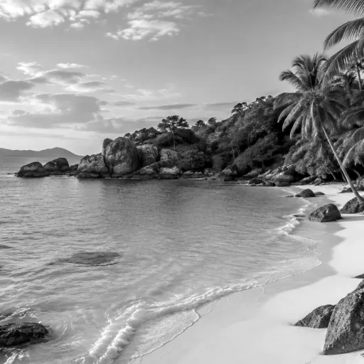 Tropical beach