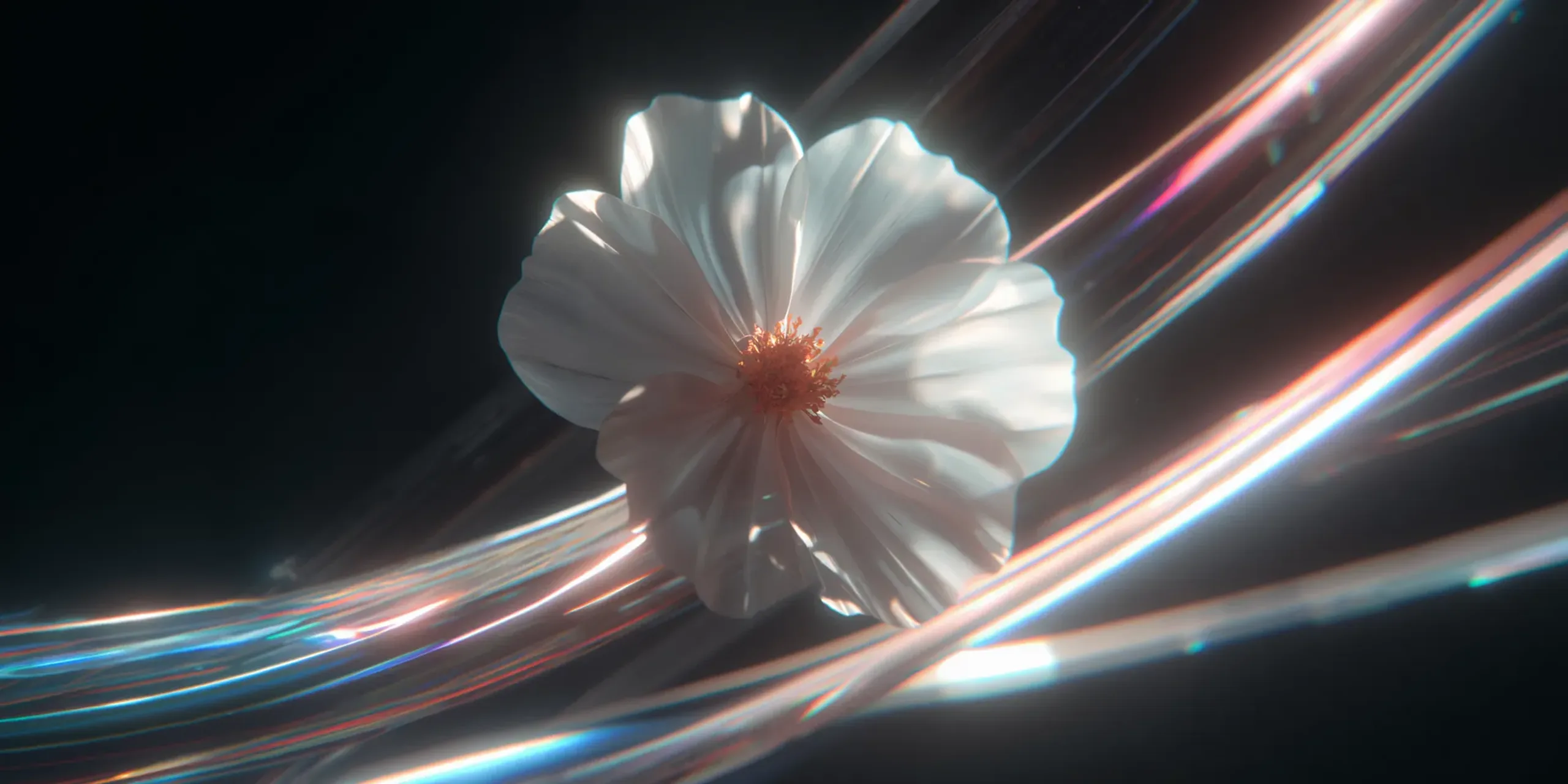 wavespeed-ai/flux-v1-pro/erase