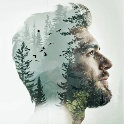Artistic double exposure portrait. Silhouette of a serene man profile combined with a misty pine forest and flying birds. The image is high-key photography, mostly white background with soft grey and muted green tones. Dreamy, ethereal, surreal composition. The tree branches seamlessly merge with his hair and beard. Fine art photography, minimalist, sharp focus on the eye