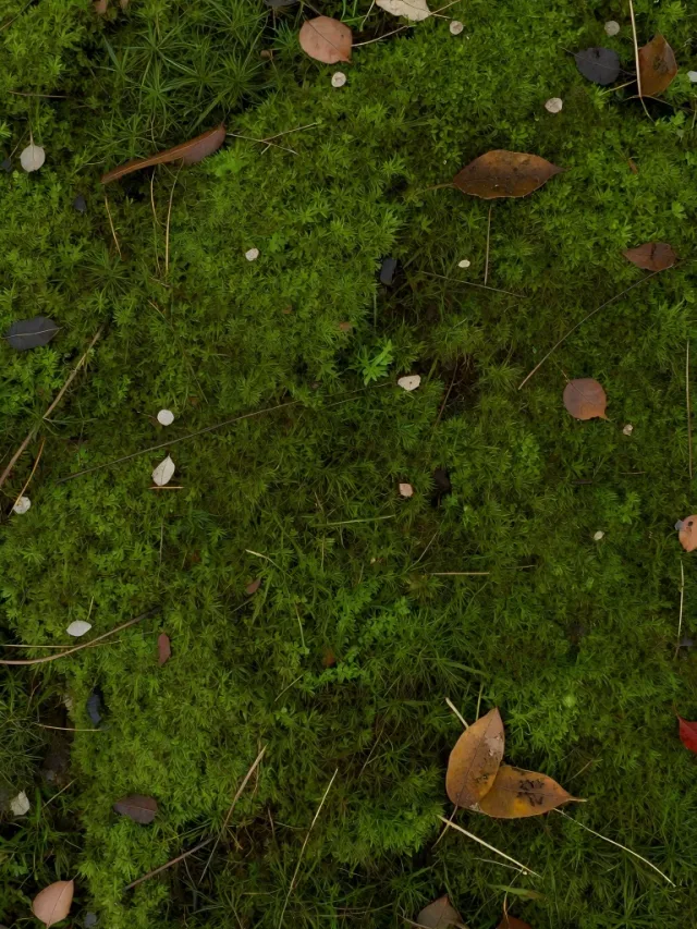 Wavespeed Ai Patina Image To Map