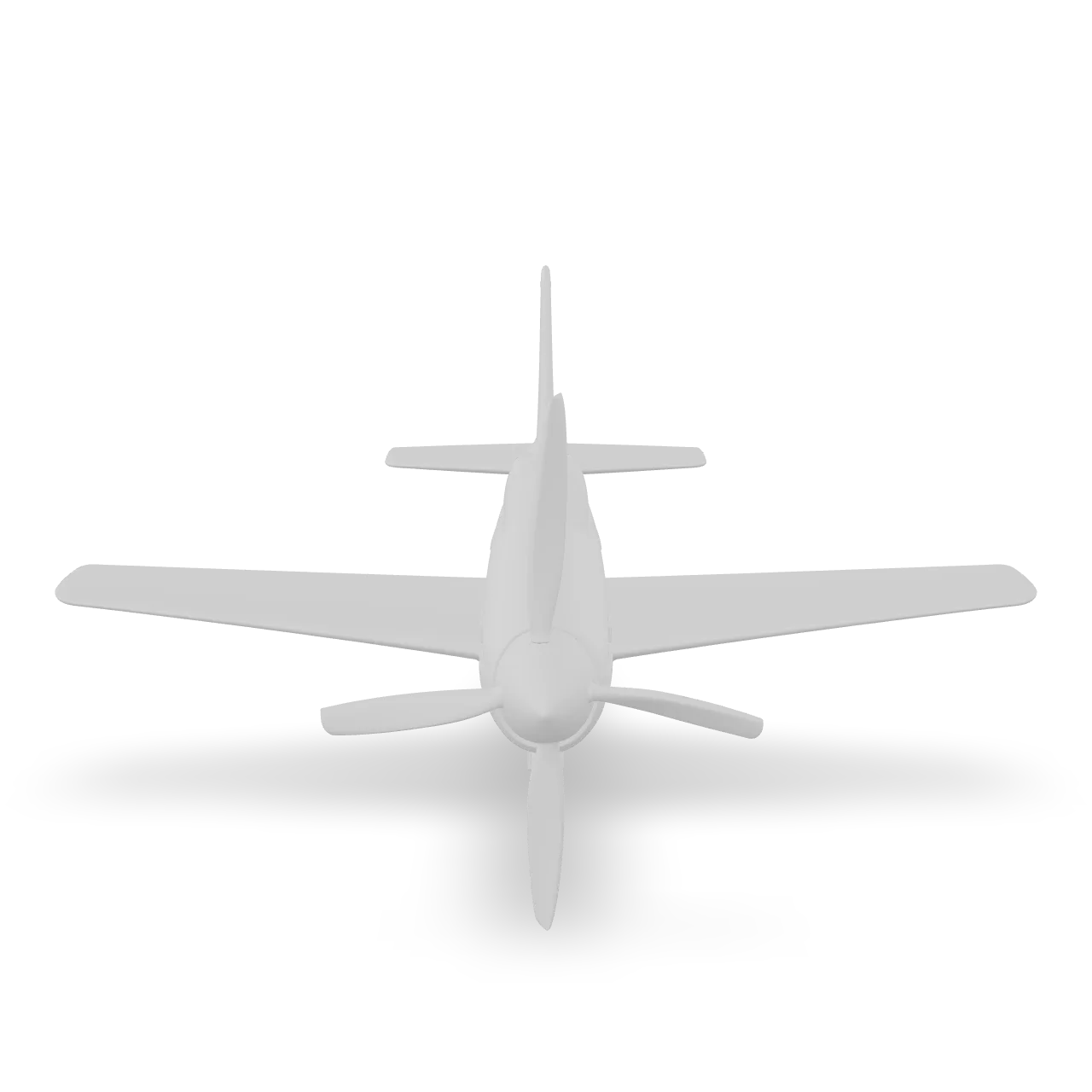 The plane.