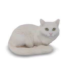 Sleeping cat