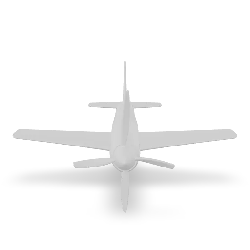 The plane.